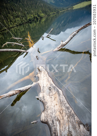 One plank bridge in high altitude lake One plank bridge in high altitude lake 107083931