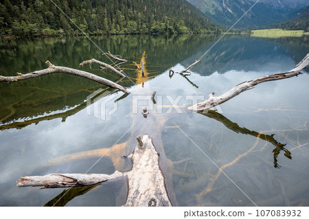 One plank bridge in high altitude lake One plank bridge in high altitude lake 107083932