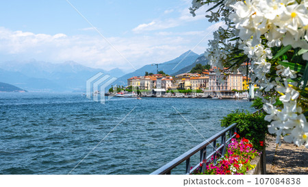 Blooming trees and flowers at Bellagio lakeshore promenade. Como Lake, Lombardy, Italy Blooming trees and flowers at Bellagio lakeshore promenade. Como Lake, Lombardy, Italy 107084838