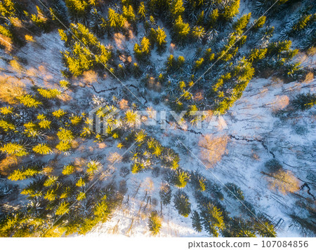 Forest in snowy wintertime. Cold winter and sunny day above forest with illuminated trees by rising sun. Aerial view from drone. Forest in snowy wintertime. Cold winter and sunny day above forest with illuminated trees by rising sun. Aerial view from drone. 107084856