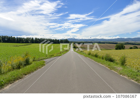 A straight road in Biei, Hokkaido 107086167