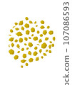 golden rose petals 107086593