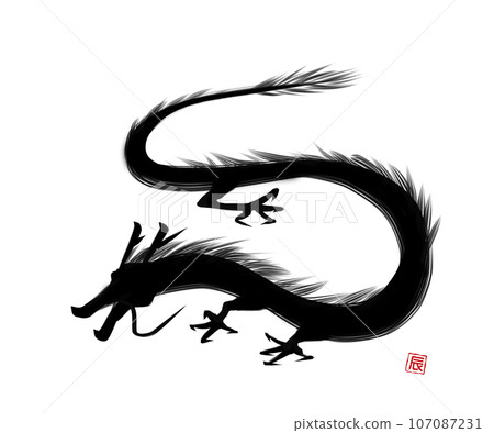 Dragon silhouette 107087231