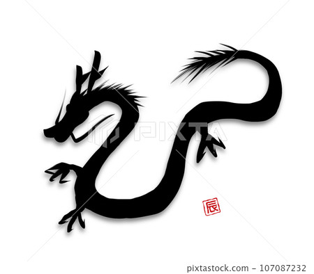 Dragon silhouette (with shadow) 107087232