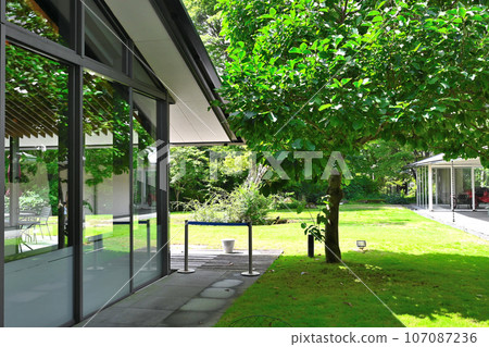 箱根萊儷博物館景觀 107087236