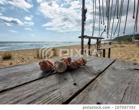 Collection of sea snails on a wooden table on a beach 107087392