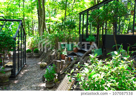 Nikolai Bergmann Hakone Gardens view Nikolai Bergmann Hakone Gardens view 107087538