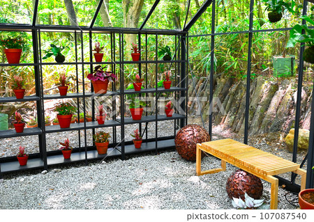 Nikolai Bergmann Hakone Gardens view 107087540