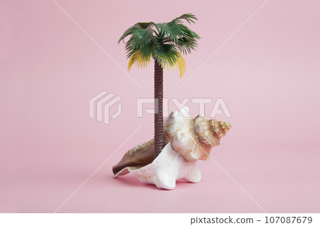 A conch shell used as a metaphor for a tropical island 107087679