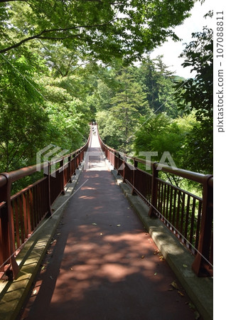 Ishifunabashi Bridge in Akigawa Valley in summer, Tokyo 107088811