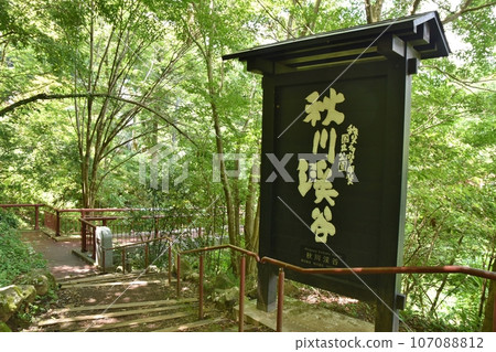 Summer Akigawa Valley Tokyo 107088812