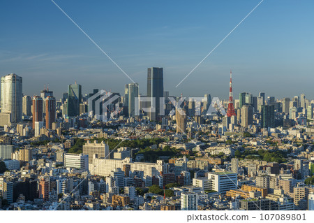 Tokyo Tower and the cityscape of central Tokyo on a clear day 107089801
