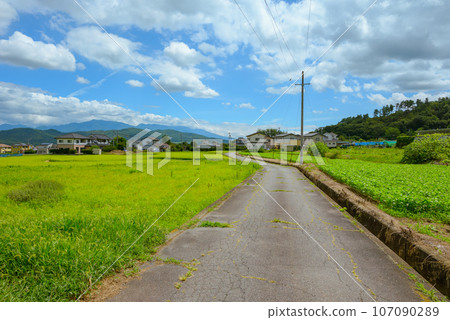 [Kamakura Road/Estimation] Let's go to Kamakura! [Ueda City] 107090289