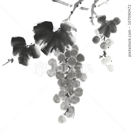 ripe grapes 107090472