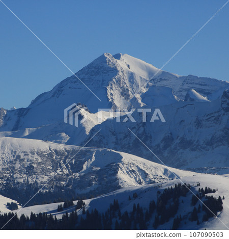 Peak of Mount Gross Loner in winter, Switzerland. 107090503