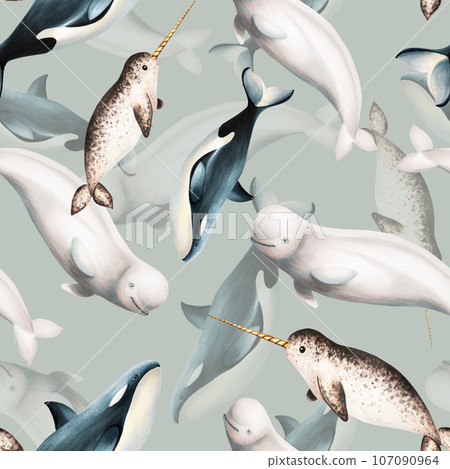 Watercolor seamless pattern with beluga, killer whale and narwhal isolated on white background. Hand painting realistic Arctic and Antarctic ocean mammals. For designers, decoration, postcards, Watercolor seamless pattern with beluga, killer whale and narwhal isolated on white background. Hand painting realistic Arctic and Antarctic ocean mammals. For designers, decoration, postcards, 107090964
