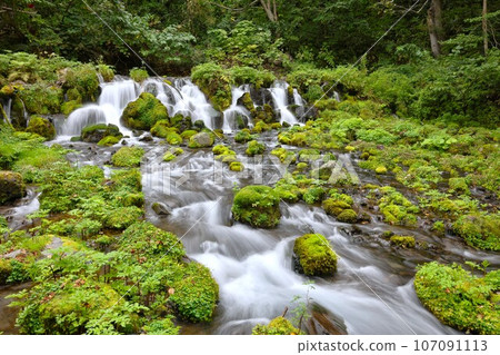 [附影片]吹出公園/羊蹄吹出泉水（北海道虻田郡京極町） 107091113