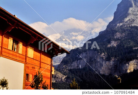 Snowy mountains glowing in the morning glow Snowy mountains glowing in the morning glow 107091484