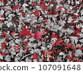 Autumn leaves, red 107091648