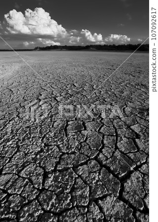 Broken dry soil in a Pampas lagoon, La Pampa province, Patagonia, Argentina. 107092617