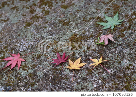 Japanese sum 107093126