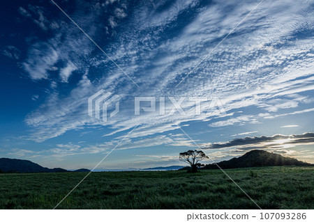 Morning Prairie Morning Prairie 107093286