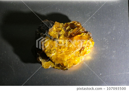 Beautiful amber excavated from Kuji City at the Prefectural Museum Beautiful amber excavated from Kuji City at the Prefectural Museum 107093500