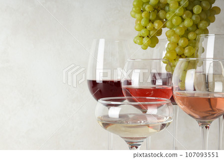 Gourmet concept, delicious alcohol drink concept - wine 107093551