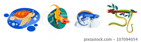 Chameleon camouflage. Exotic camouflaged reptiles, chameleons camouflage skin changing color, cartoon animal protection disguise. Vector set Chameleon camouflage. Exotic camouflaged reptiles, chameleons camouflage skin changing color, cartoon animal protection disguise. Vector set 107094054