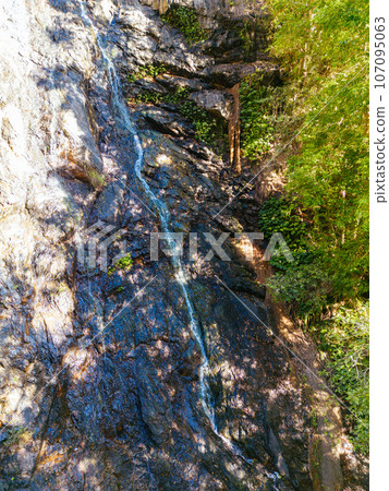 Kondalilla National Park in Queensland Australia 107095063