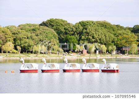 福岡大濠公園的鴨子船 福岡大濠公園的鴨子船 107095546