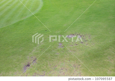 green lawn environmental issues 107095587