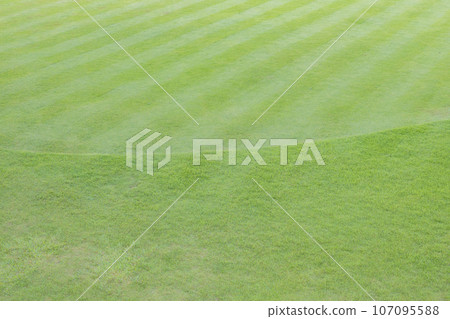 green lawn environmental issues 107095588