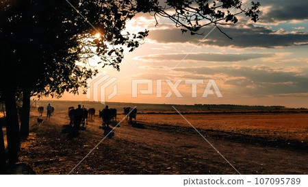 Sunset in the steppe on a dusty road 107095789