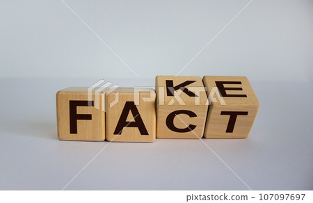 Word Fake changing in to Fact. Business and design concept - surreal abstract geometric wooden cubes with word 'FACT, FAKE'. Beautiful white background. Copy space. Word Fake changing in to Fact. Business and design concept - surreal abstract geometric wooden cubes with word 'FACT, FAKE'. Beautiful white background. Copy space. 107097697