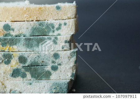 bread with mildew. Spoiled products bread with mildew. Spoiled products 107097911
