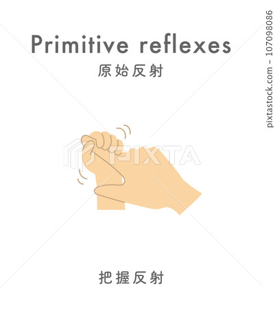 Illustration material: Primitive reflex grasp reflex Illustration material: Primitive reflex grasp reflex 107098086