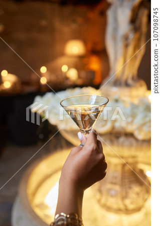 Clinking glasses with alcohol and toasting, party. 107098745