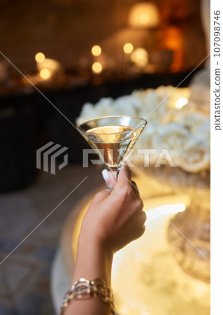 Clinking glasses with alcohol and toasting, party. 107098746