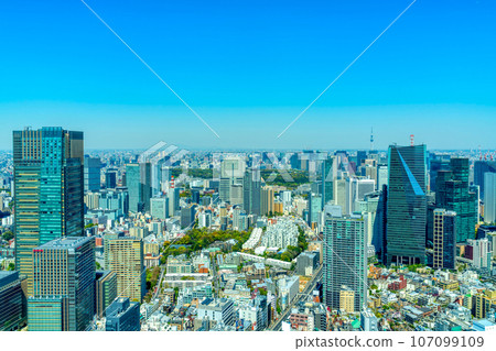 俯瞰東京晴空塔和皇居的城市景觀 107099109