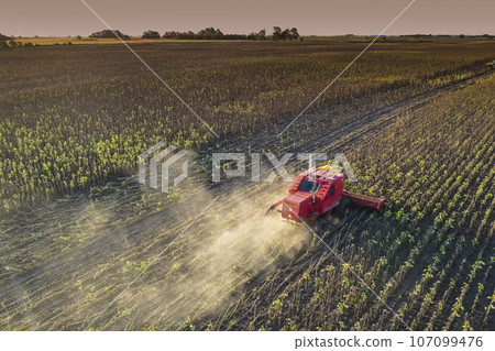 Harvester in Pampas Countryside, aerial view, La Pampa province, Argentina. Harvester in Pampas Countryside, aerial view, La Pampa province, Argentina. 107099476