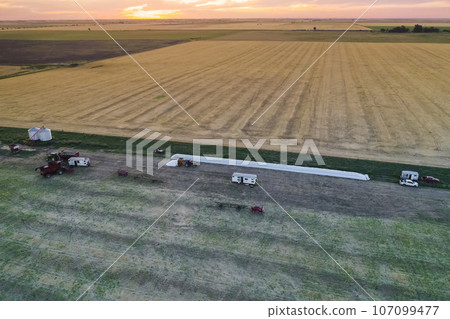 Silo bag work in pampas countryside, grain storage in La Pampa, Argentina Silo bag work in pampas countryside, grain storage in La Pampa, Argentina 107099477