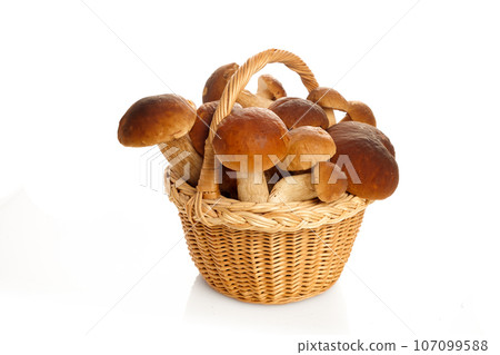 Basket fool of Boletus mushrooms isolated on white background. Vegetarian healthy food. Healthy food background. 107099588