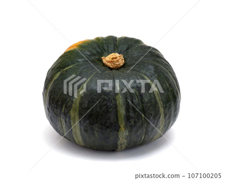 Botchan pumpkin 107100205