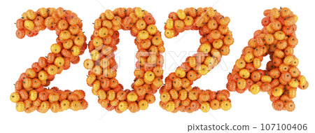 Halloween 2024 concept. 2024 from pumpkins, 3D rendering 107100406