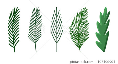 Set of simple pine or fir branches, winter holidays design element, vector Set of simple pine or fir branches, winter holidays design element, vector 107100901
