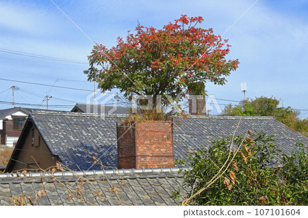 Tokoname City Tokoname Pottery Promenade 107101604