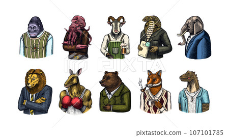 Grizzly Bear, Octopus, t-rex dinosaur, Elephant, Indian cobra snake, Fox with a smoking pipe, lion Grizzly Bear, Octopus, t-rex dinosaur, Elephant, Indian cobra snake, Fox with a smoking pipe, lion 107101785