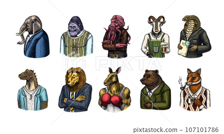 Grizzly Bear, Octopus, t-rex dinosaur, Elephant, Indian cobra snake, Fox with a smoking pipe, lion 107101786