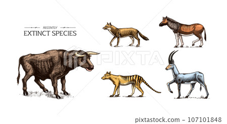 Extinct species. Wild mammal animals and birds. Tasmanian wolf, Quagga. Aurochs. Blue antelope Extinct species. Wild mammal animals and birds. Tasmanian wolf, Quagga. Aurochs. Blue antelope 107101848